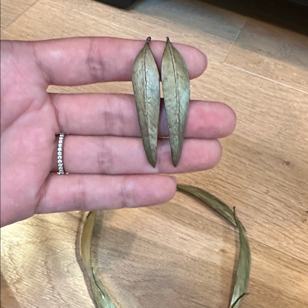 Michael Michaud Eucalyptus Earrings